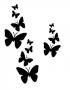 Butterflies shadow
