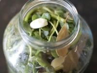 pickled-purslane-in-a-jar.jpg