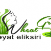 Wheatgrass_Azerbaijan